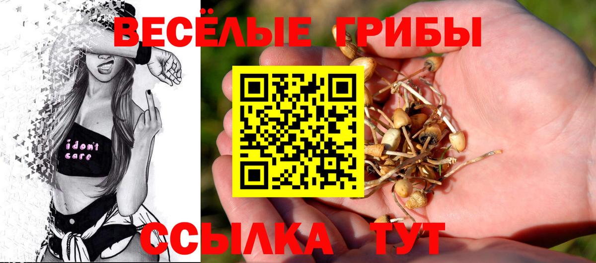 Галлюциногенные грибы Psilocybe  Галлюциногенные грибы GOLDEN TEACHER  Вход с VPN  Каменка 